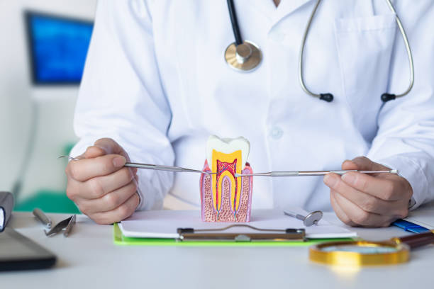 Best Emergency Tooth Extraction in Island Walk, FL